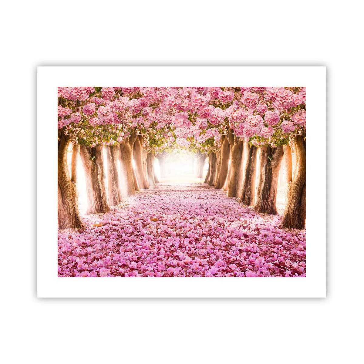 Poster - Drumul spre paradis - 50x40 cm