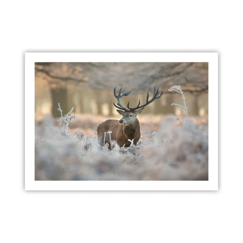 Poster - O dimineață răcoroasă - 70x50 cm