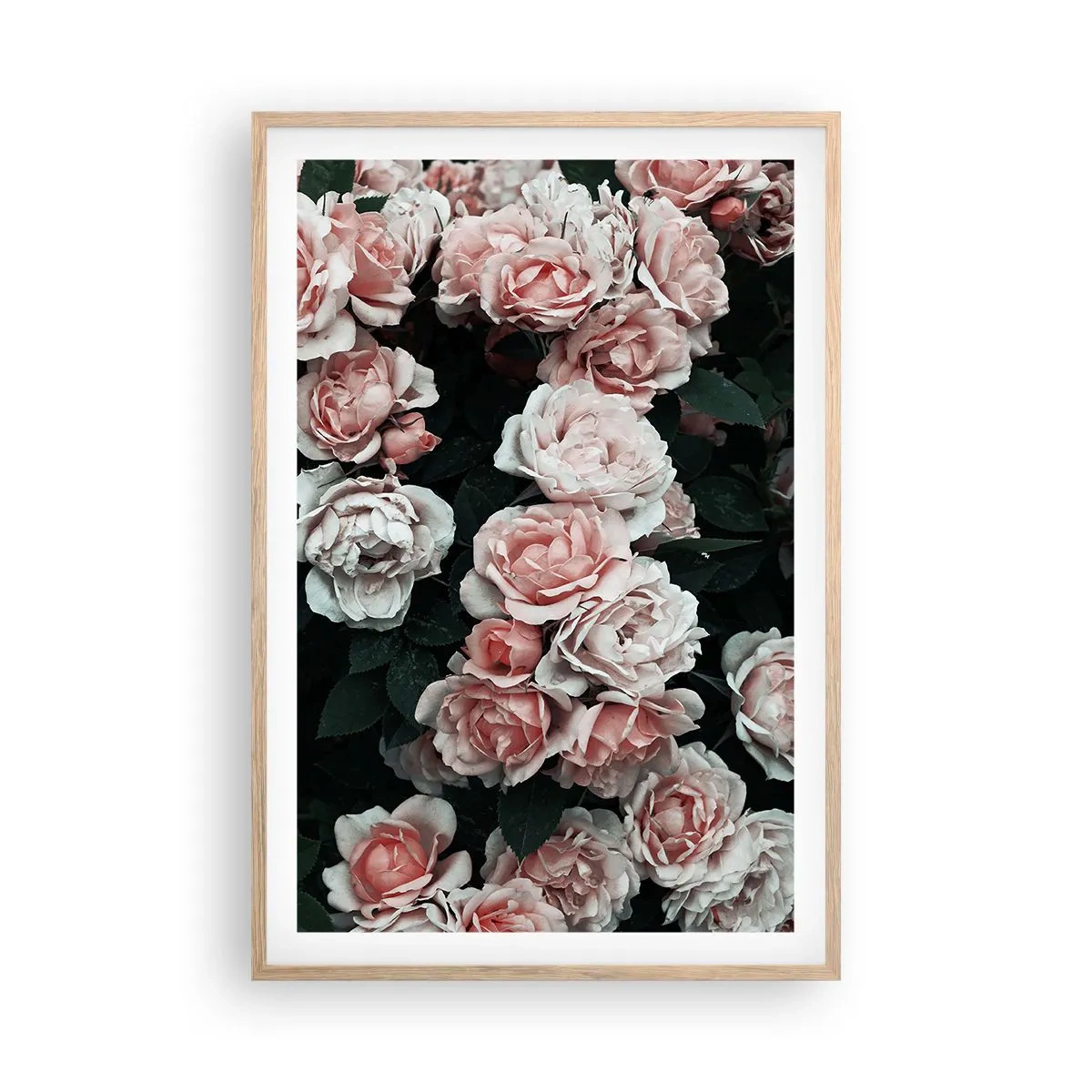 Poster în ramă de stejar deschis - Ansamble de trandafiri - 61x91 cm