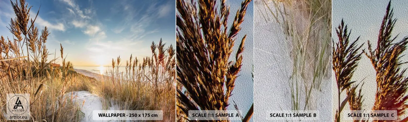 Mostră tapet Premium Sand - Plaja de nord - Peisaj, Mare, plajă - 100x30 cm