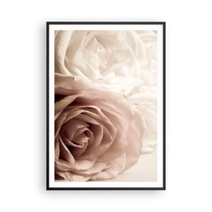 Poster în ramă neagră - În inima unui trandafir - 70x100 cm