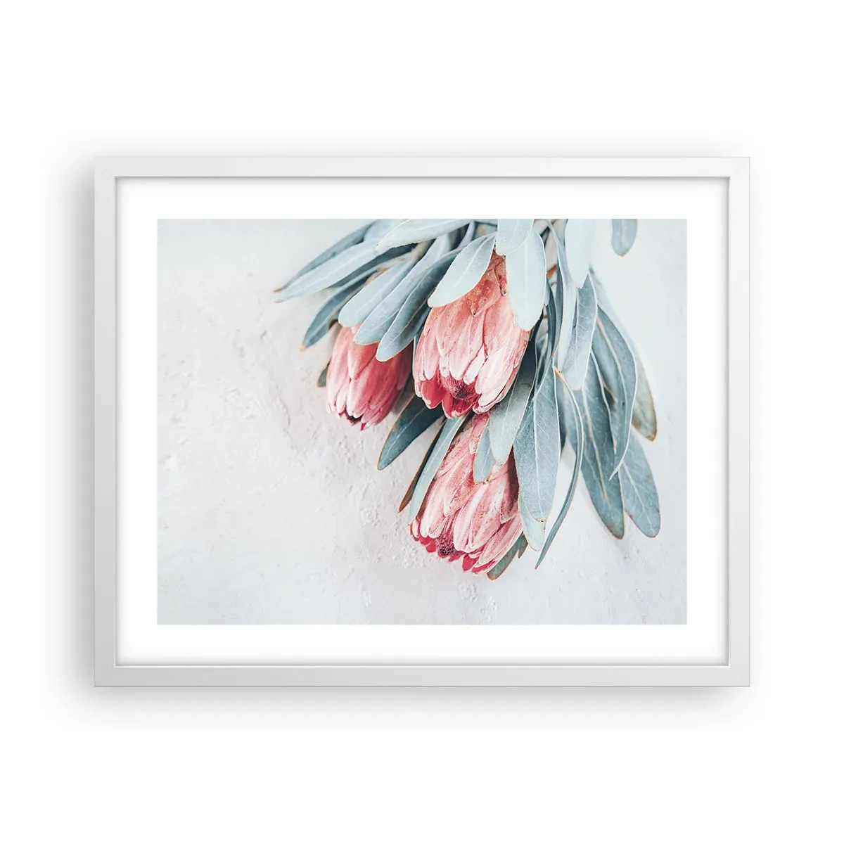 Poster în ramă albă - Rușinate de propria lor frumusețe - 50x40 cm