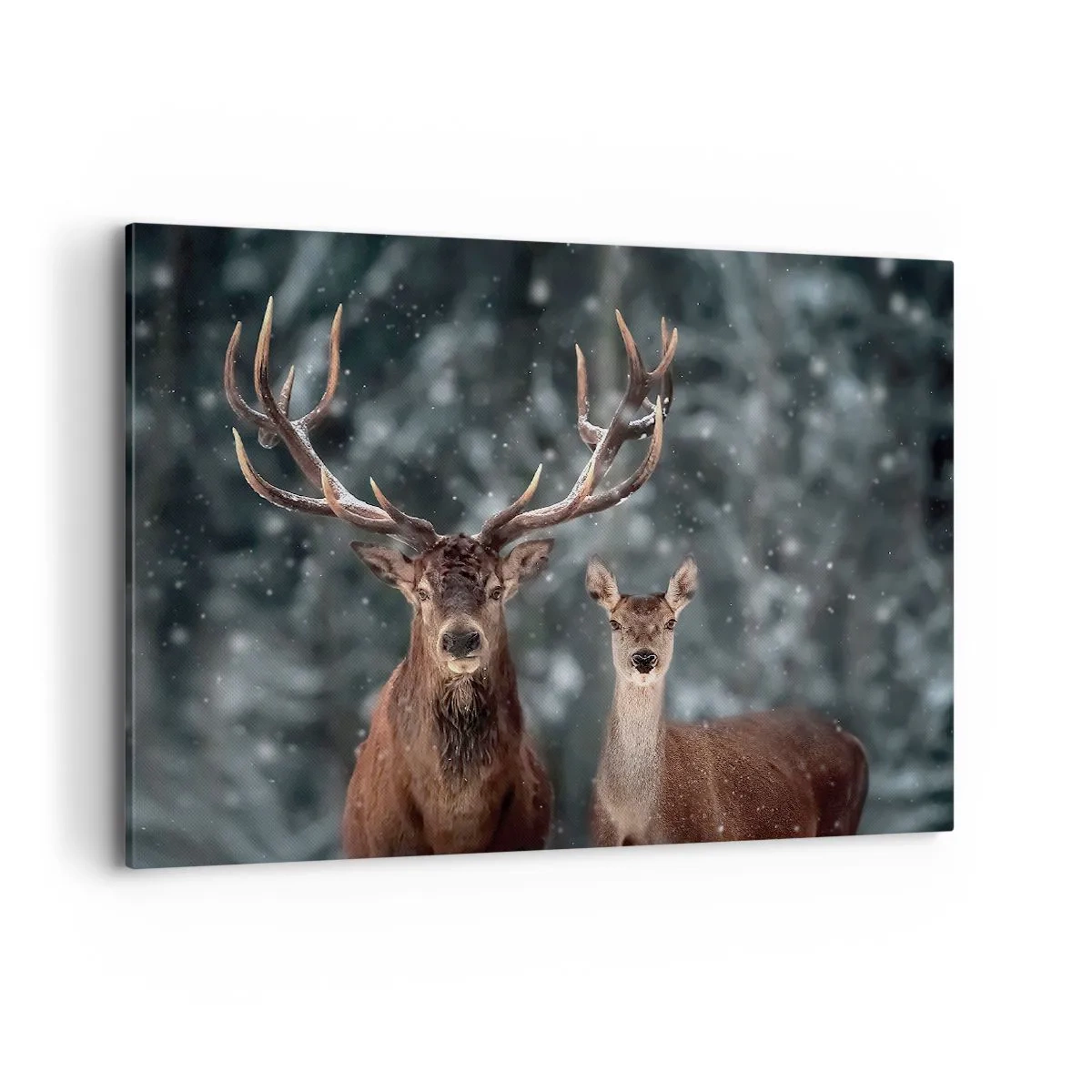 Tablou pe pânză - Stăpânul pădurii și soția sa - 100x70 cm