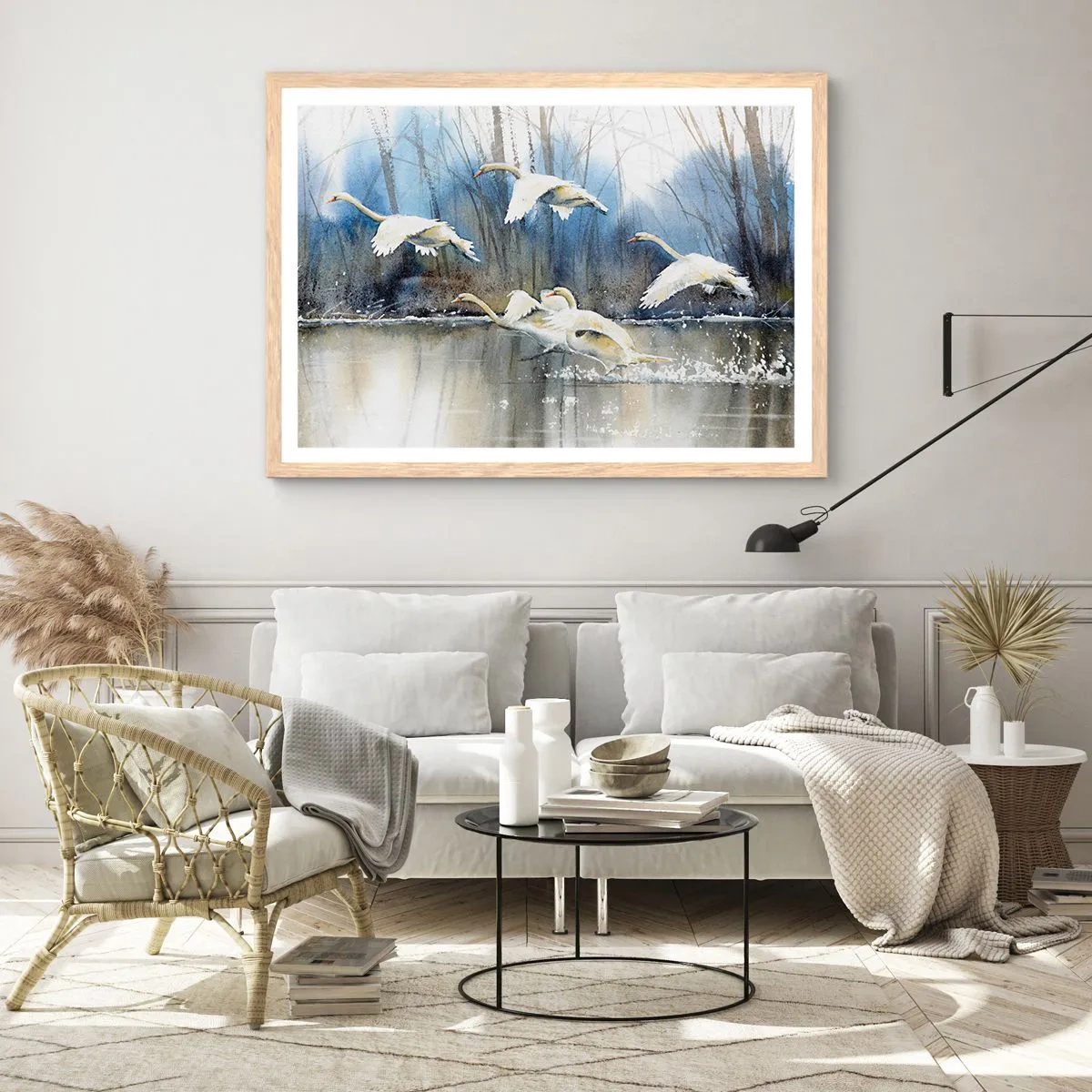 Poster în ramă de stejar deschis - Dansând cu lebedele sălbatice - 70x50 cm