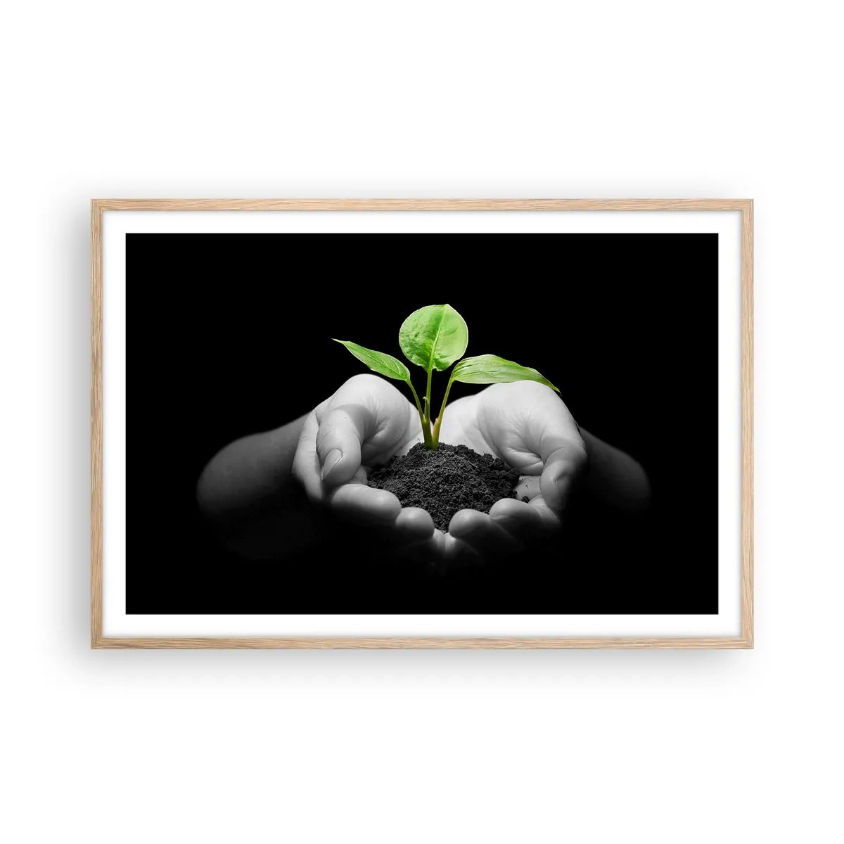 Poster în ramă de stejar deschis - Iubesc natura, o protejez - 91x61 cm