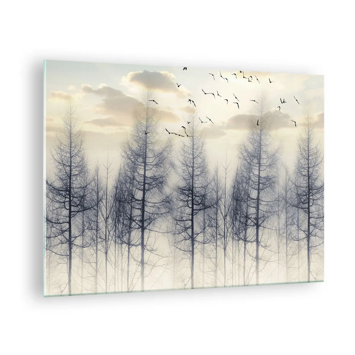 Tablou pe sticlă - O pădure învăluită în ceață și plină de păsări, iluminată de soarele care răsare - 70x50cm - Spiritele pădurii - Decorațiune modernă pentru perete pentru living și dormitor ARTTOR