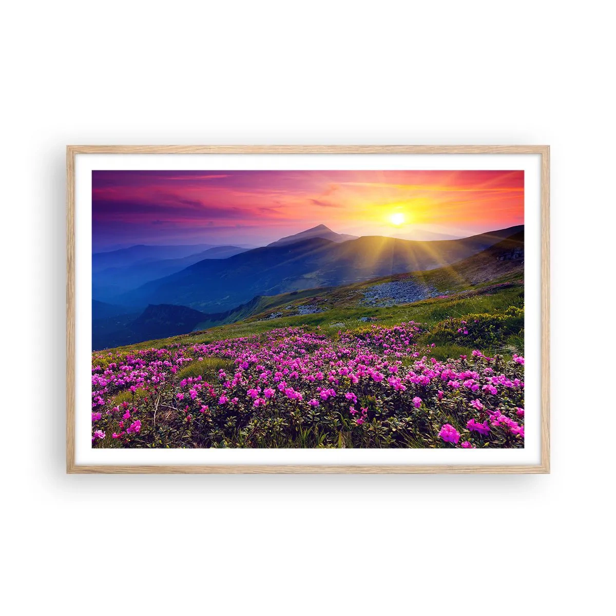 Poster în ramă de stejar deschis - ... Și peste tot în jur se simte un miros de jneapăn și parfum de ierburi... - 91x61 cm