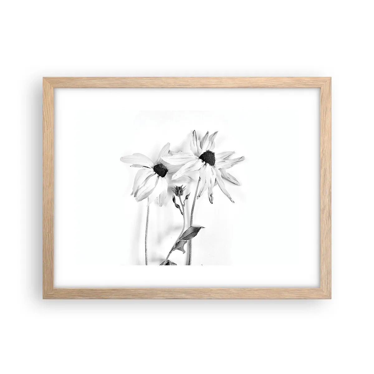 Poster în ramă de stejar deschis - Nimeni nu vrea să fie singur - 40x30 cm