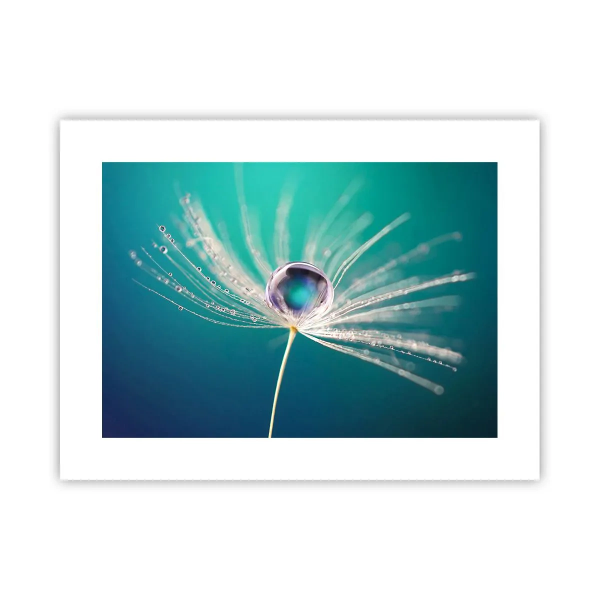 Poster - Moment mistic - 40x30 cm