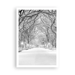 Poster - Cele patru anotimpuri – iarna - 70x100 cm