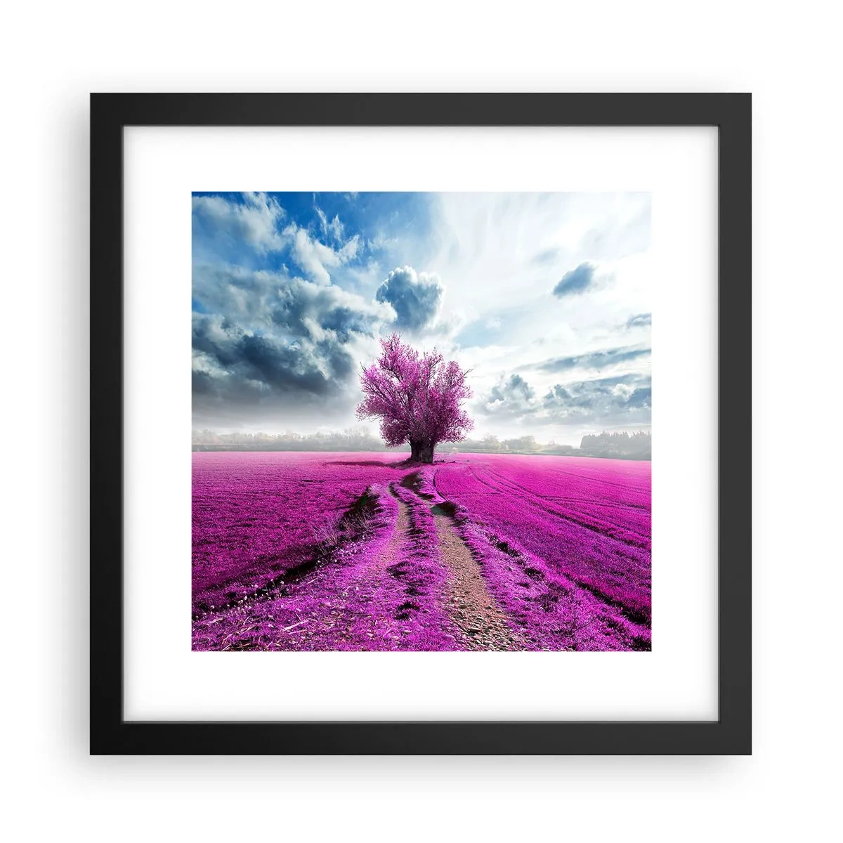 Poster în ramă neagră - Câmpul cu iarbă neagră - 30x30 cm