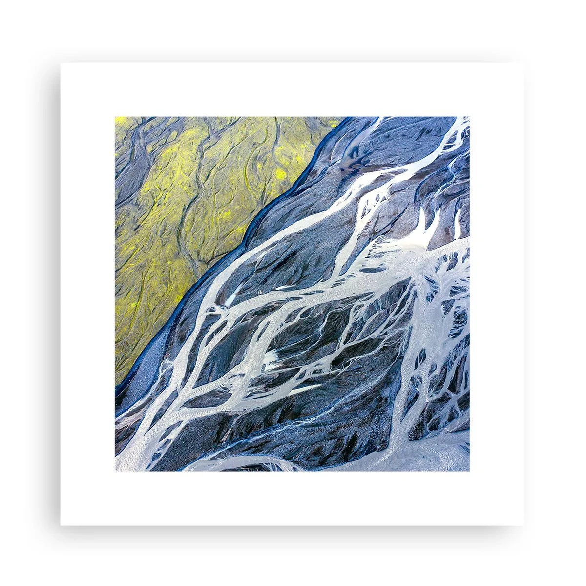 Poster - Picturi din natură - 30x30 cm
