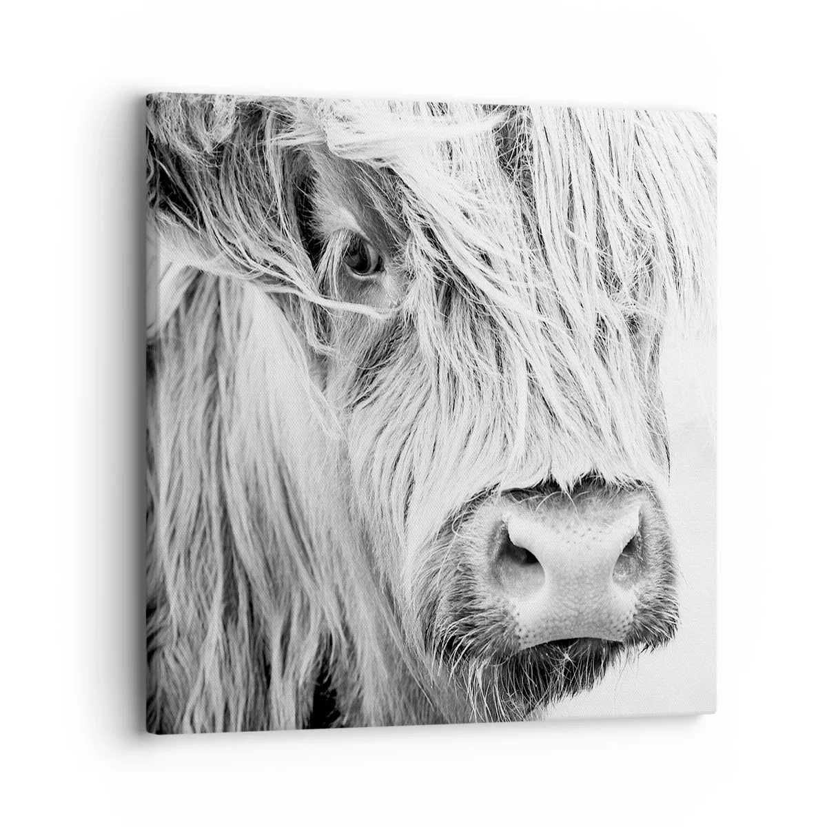 Tablou pe pânză - Sălbăticie scoțiană - 30x30 cm