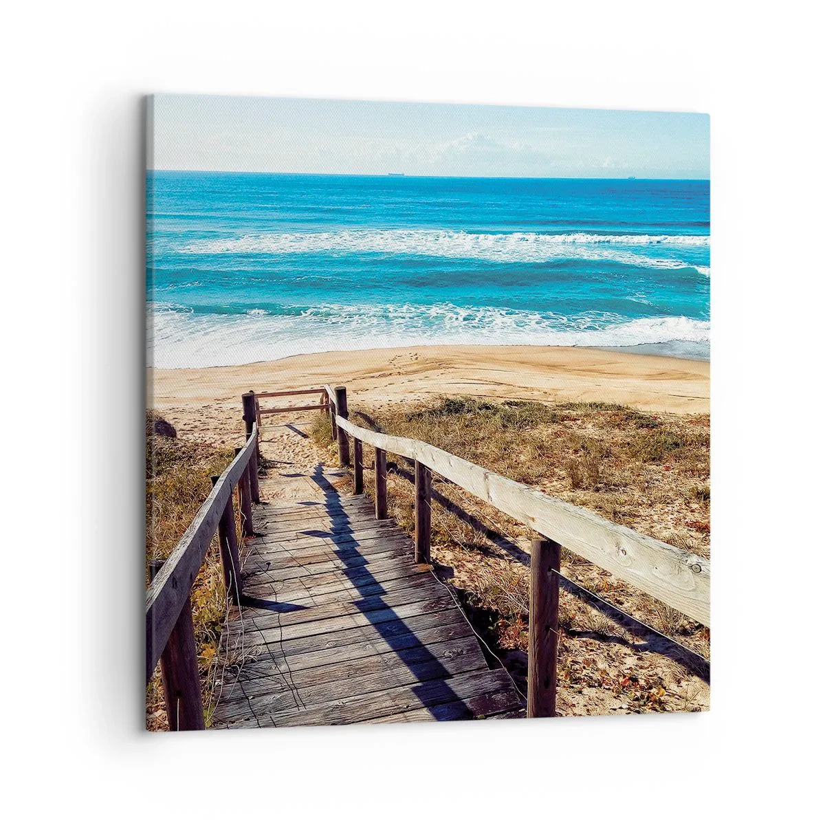 Tablou pe pânză - Aleargă! - 50x50 cm