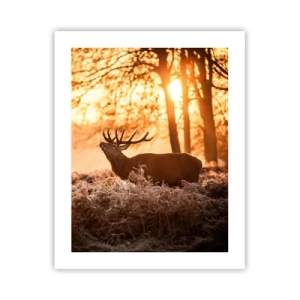 Poster - Visul unui vânător - 40x50 cm