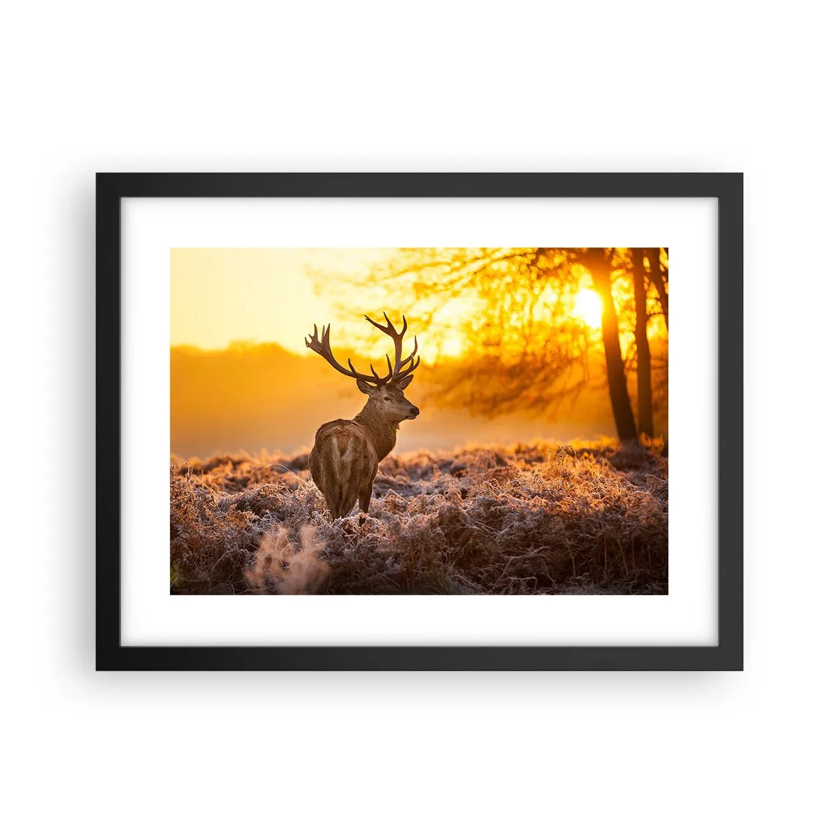 Poster în ramă neagră - Regele pădurii de toamnă - 40x30 cm