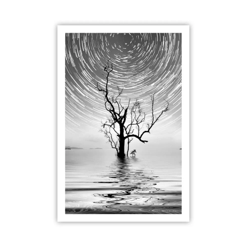 Poster - O simfonie a naturii - 61x91 cm