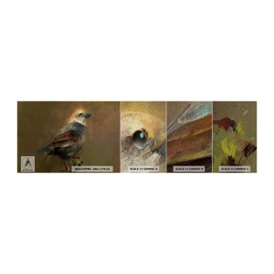 Mostră tapet Premium Canvas - Vrăbiuță, o pasăre micuță - Abstracția, Pasăre, Natură - 100x30 cm