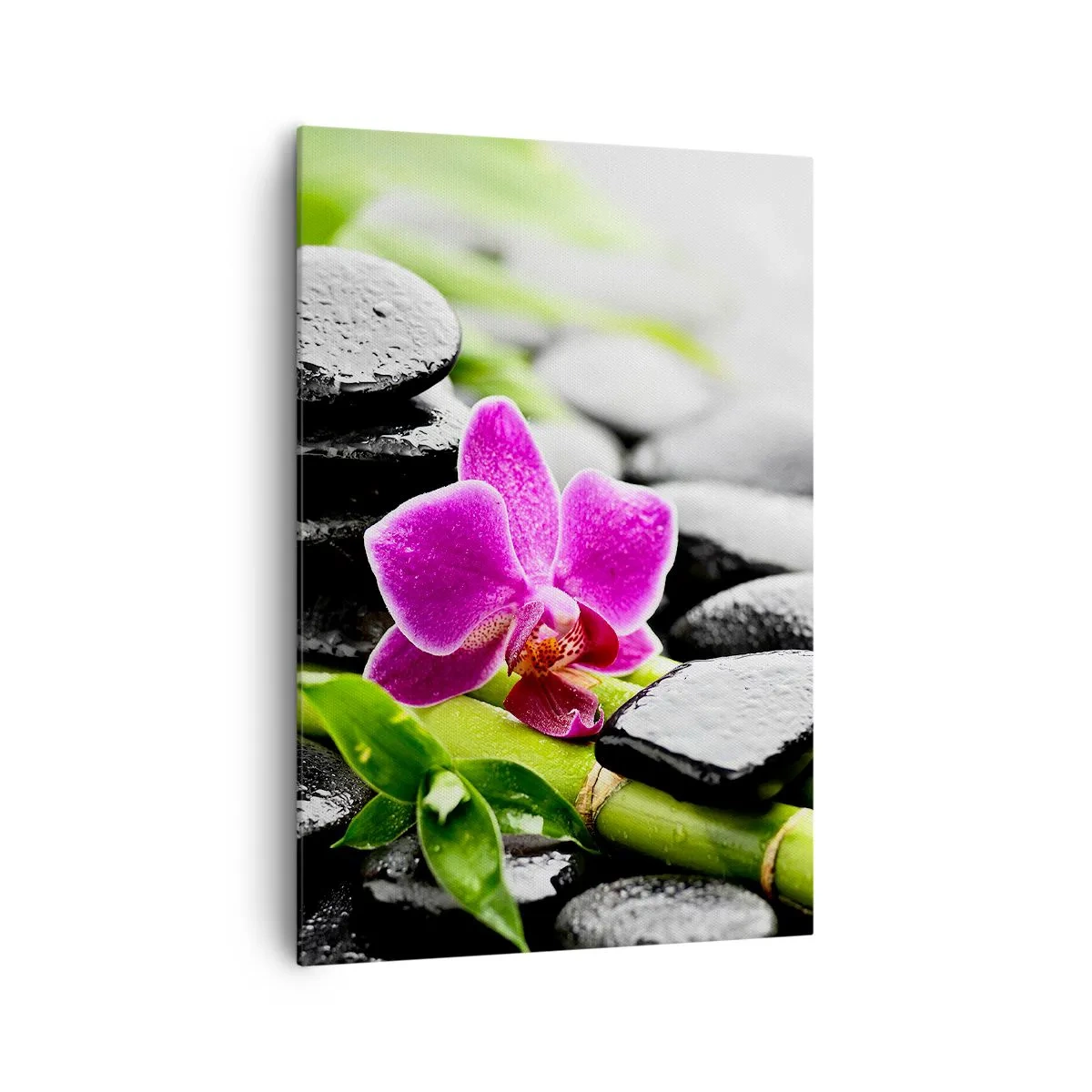 Tablou pe pânză - Într-un echilibru pașnic - 70x100 cm