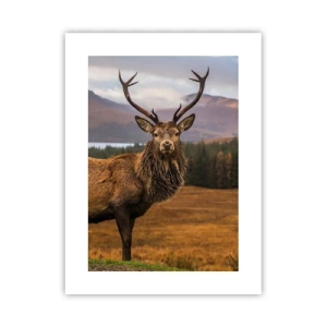 Poster - Măreția naturii - 30x40 cm