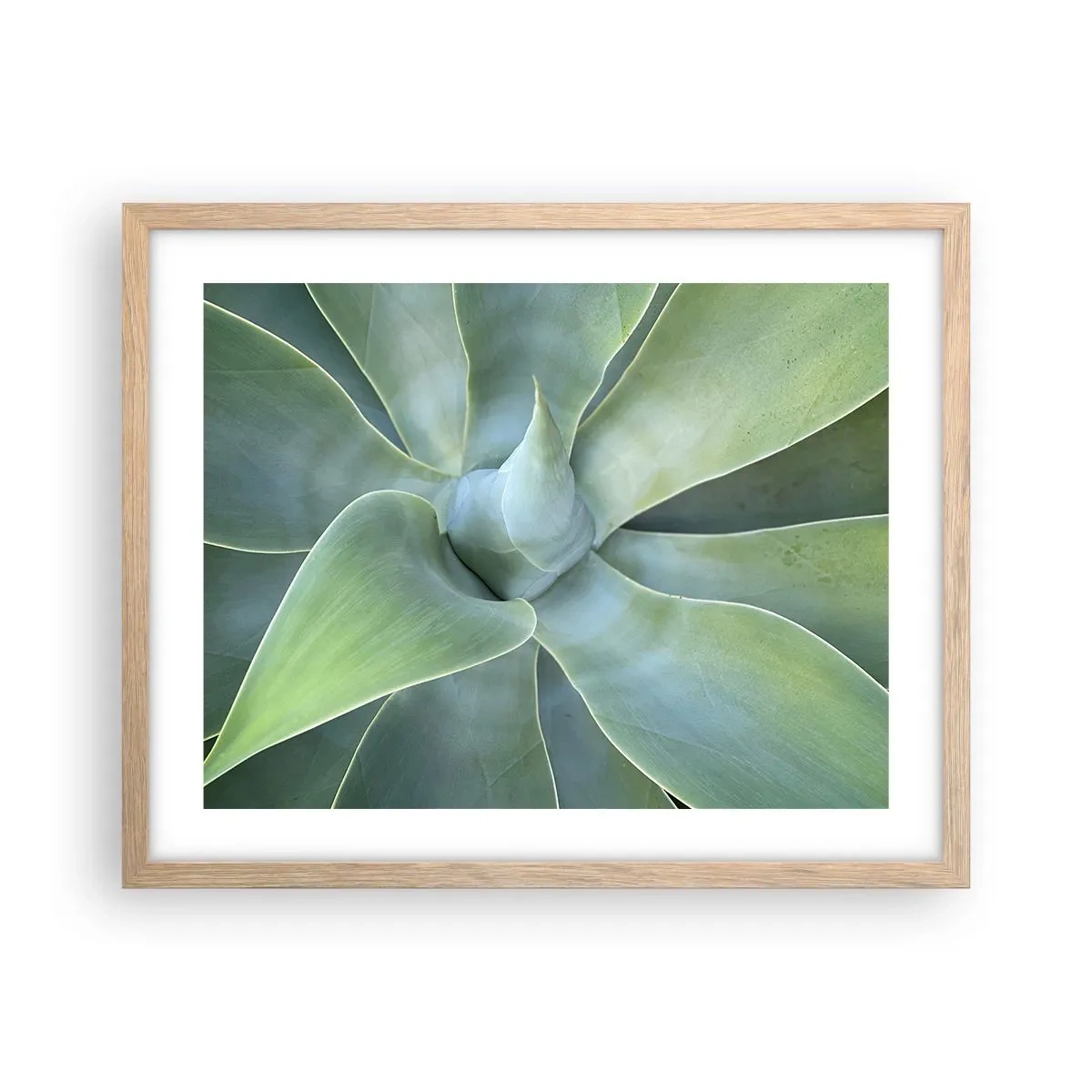 Poster în ramă de stejar deschis - Nașterea verdeții - 50x40 cm