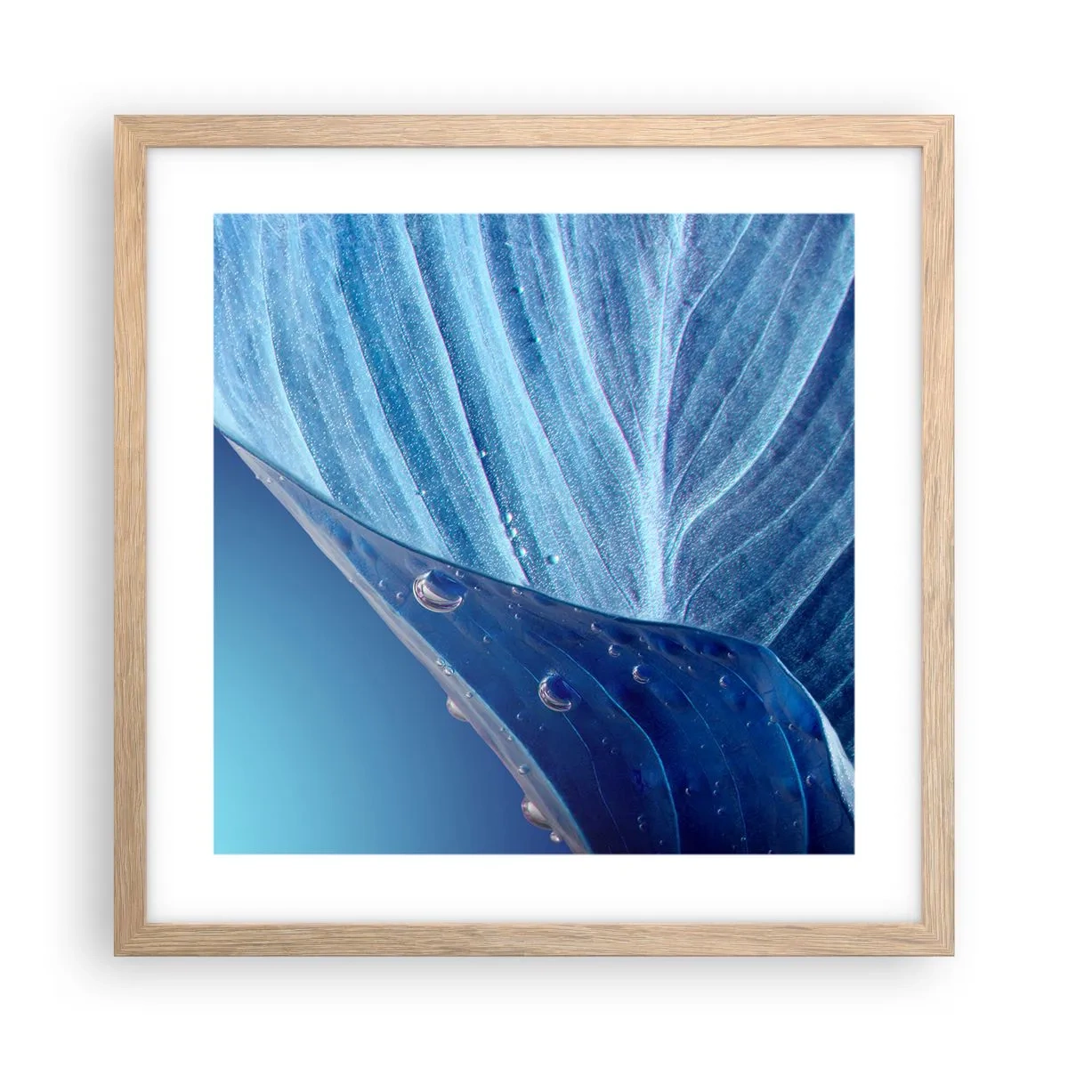 Poster în ramă de stejar deschis - Picături ascunse de albastru - 40x40 cm