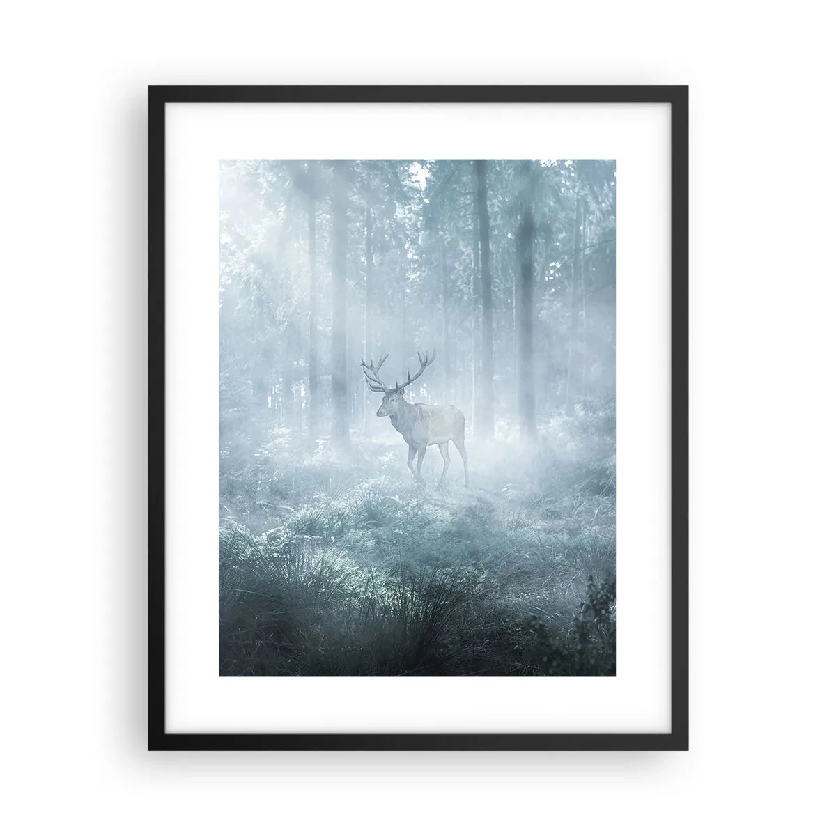 Poster în ramă neagră - Plimbarea de dimineață prin regat - 40x50 cm