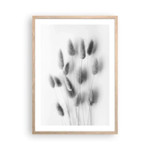 Poster în ramă de stejar deschis - Pufoșenia ierbii - 50x70 cm