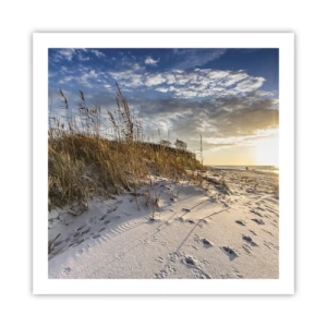 Poster - Invitație la o plimbare - 60x60 cm