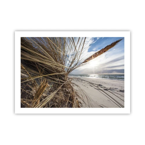 Poster - O întâlnire a elementelor - 70x50 cm