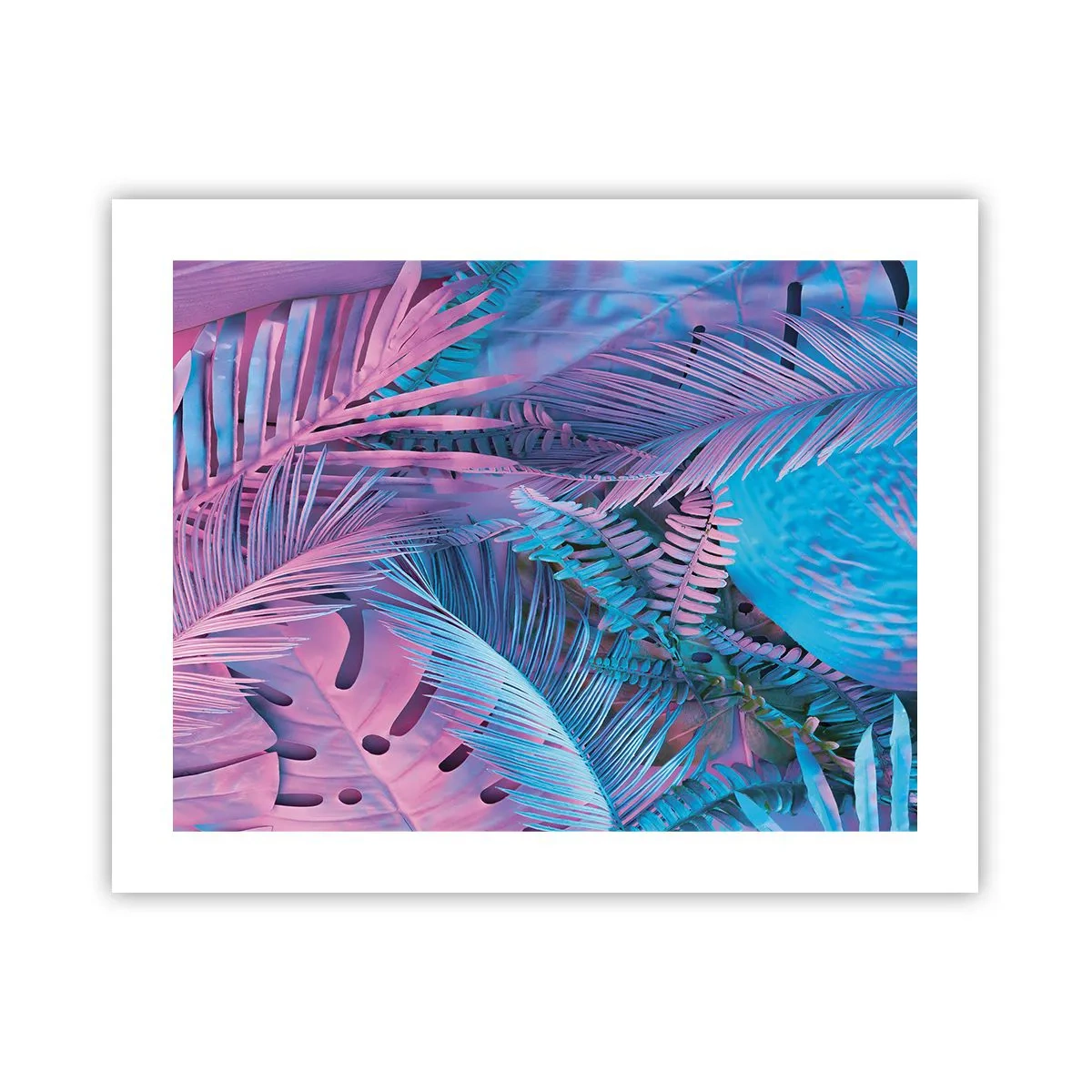 Poster - Palmieri în alb și albastru - 50x40 cm