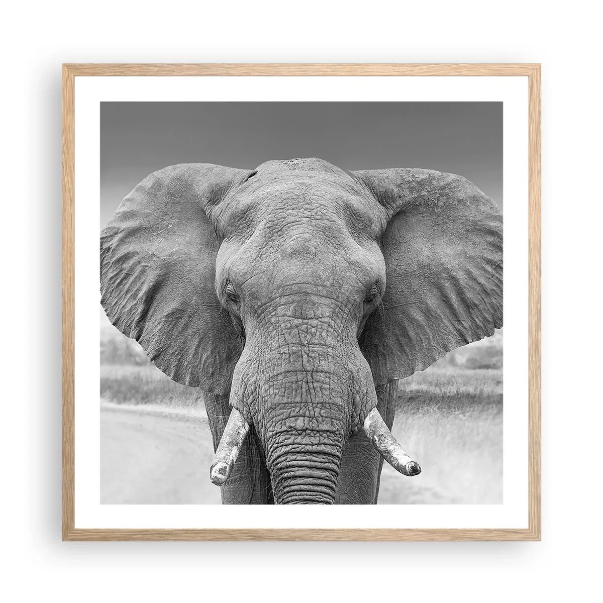 Poster în ramă de stejar deschis - Bun venit în lumea mea - 60x60 cm