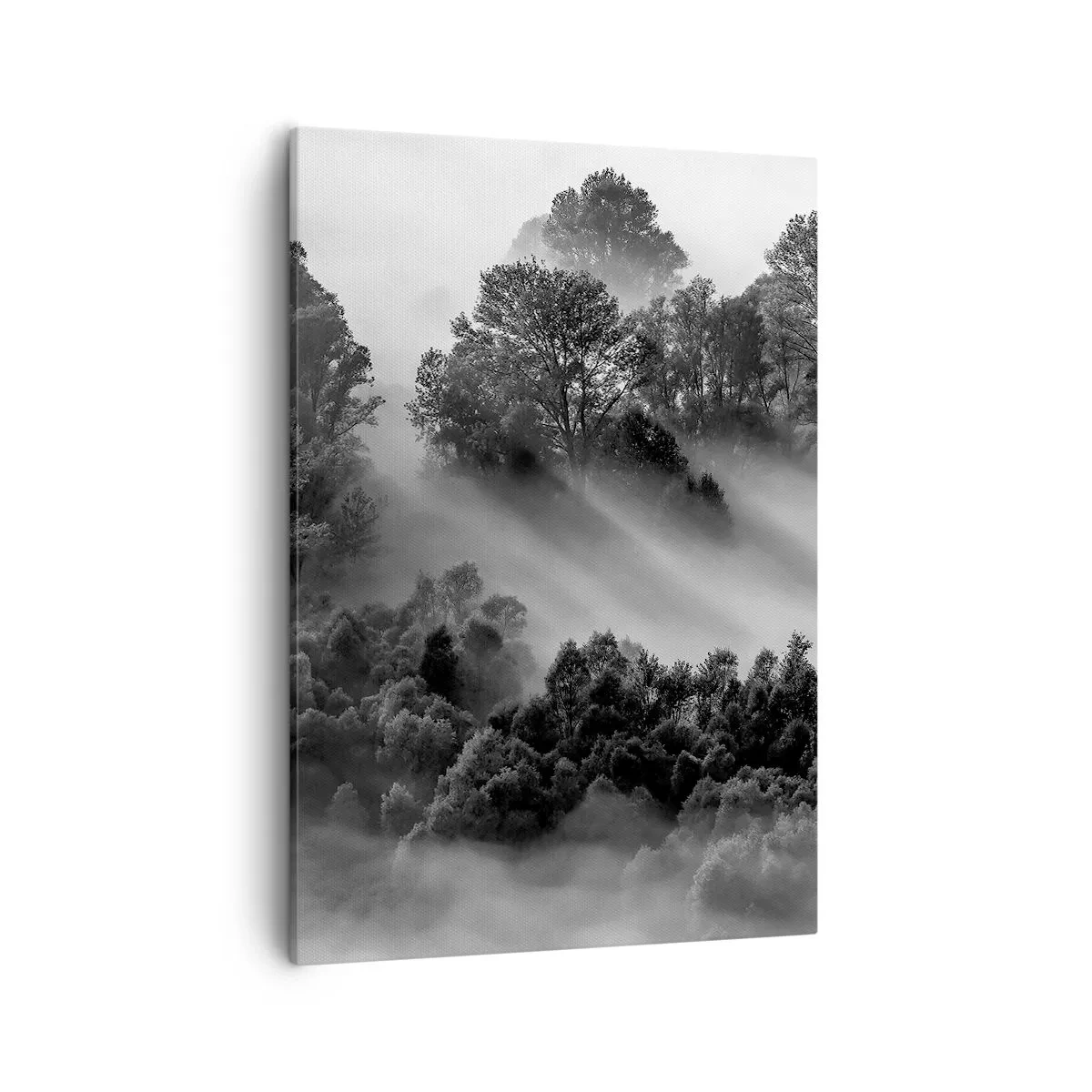 Tablou pe pânză - Trezindu-se din somn - 50x70 cm