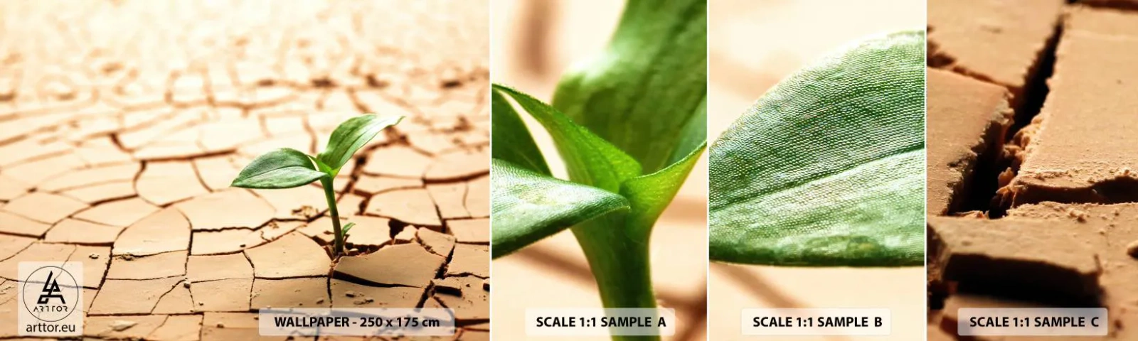 Mostră de Tapet Standard Eco - Forța irepresibilă a vieții - Natură, Plantă, Secetă - 100x30 cm