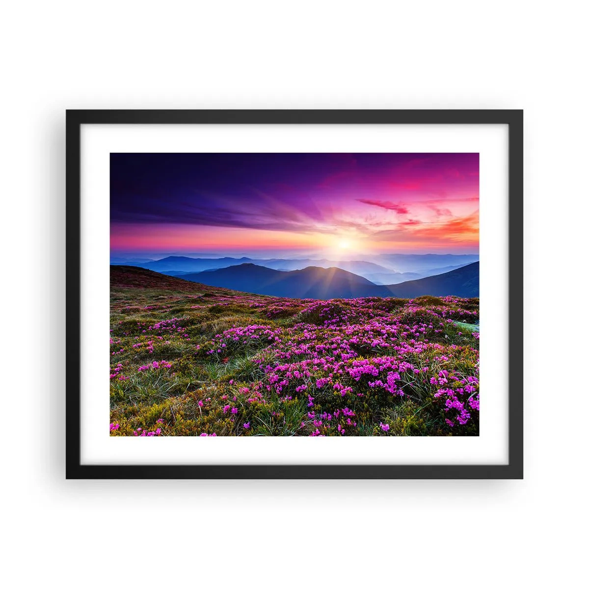 Poster în ramă neagră - Ierburile proaspete miroseau puternic - 50x40 cm