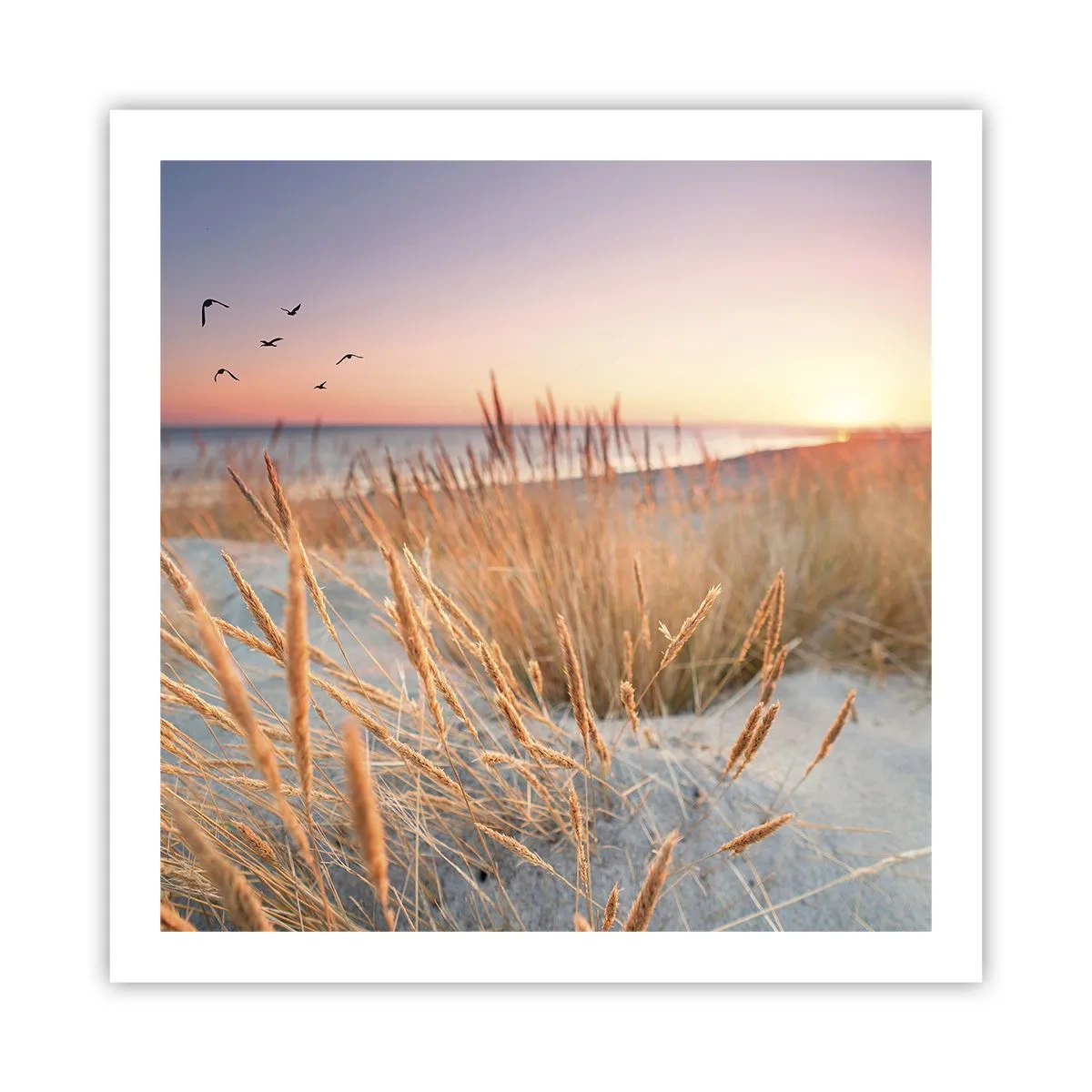 Poster - Cântec de leagăn baltic - 60x60 cm