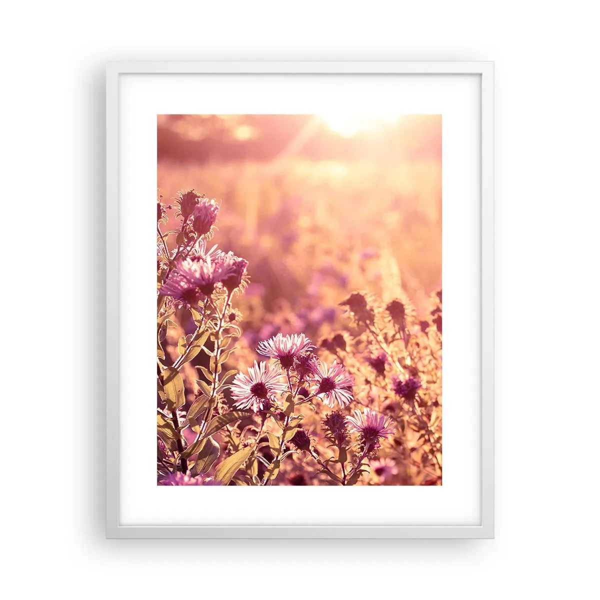 Poster în ramă albă - Înainte ca vara să plece - 40x50 cm