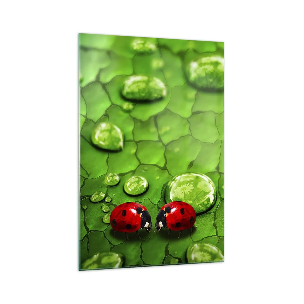 Tablou pe sticlă - Întâlnire în verde - 70x100 cm
