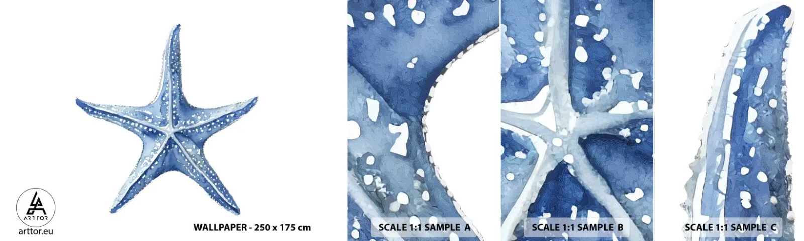 Mostră de Tapet Standard Eco - Steaua mării - Stea de mare, Litoral, recif de corali - 100x30 cm