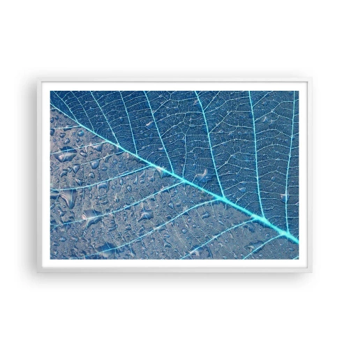 Poster în ramă albă - Viața în albastru - 100x70 cm