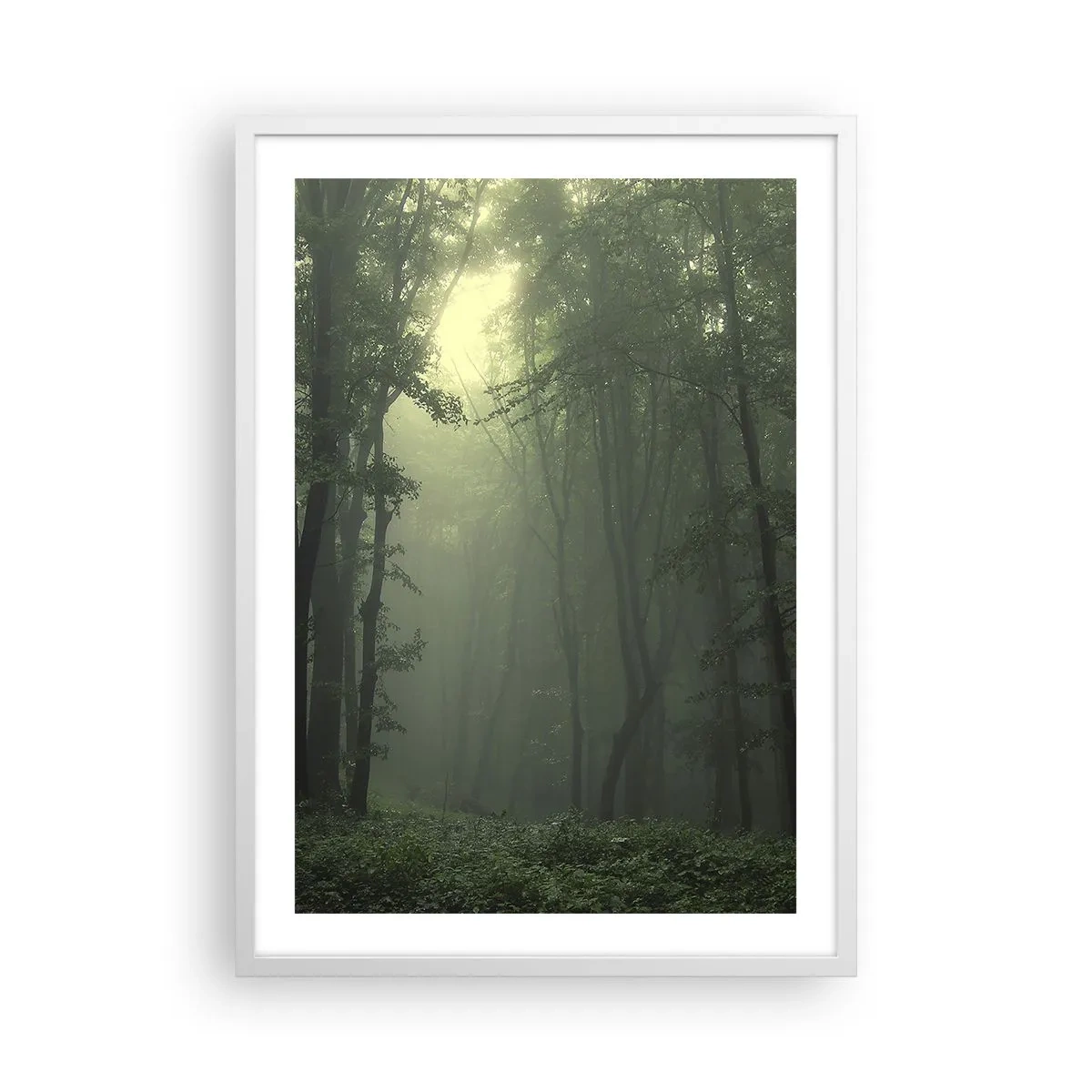 Poster în ramă albă - Înainte să se trezească - 50x70 cm