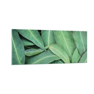 Tablou pe sticlă - Suculente și proaspete - 100x40 cm