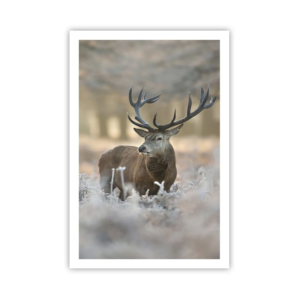 Poster - O dimineață răcoroasă - 61x91 cm