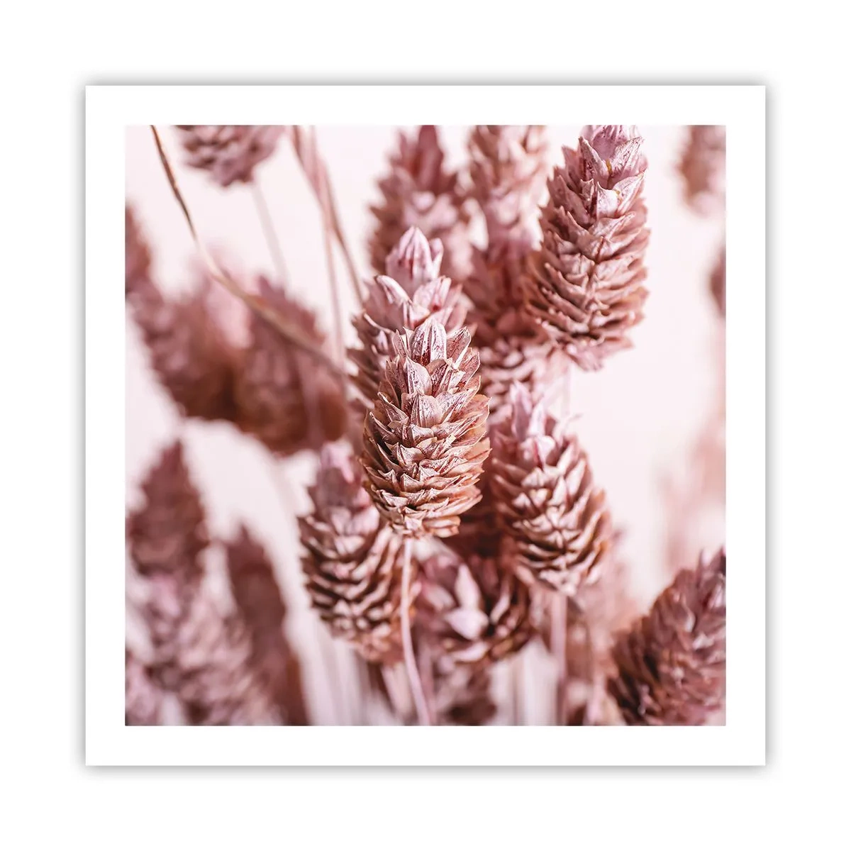 Poster - Aparent discrete - 60x60 cm