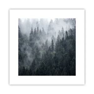 Poster - Zori de pădure - 30x30 cm