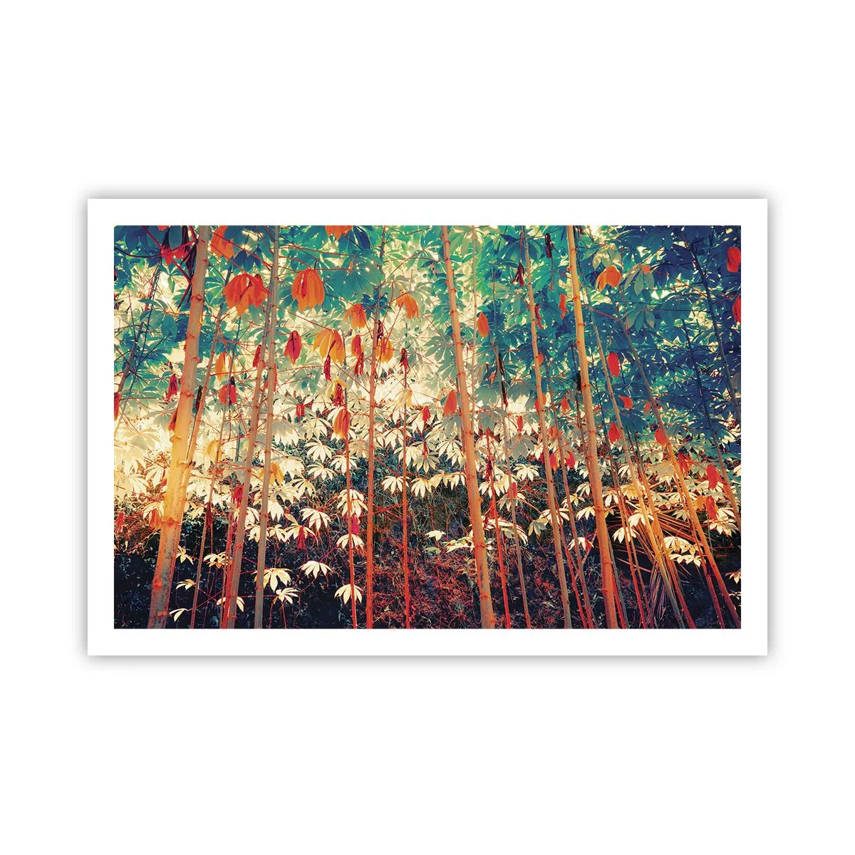 Poster - Viața secretă a frunzelor - 91x61 cm