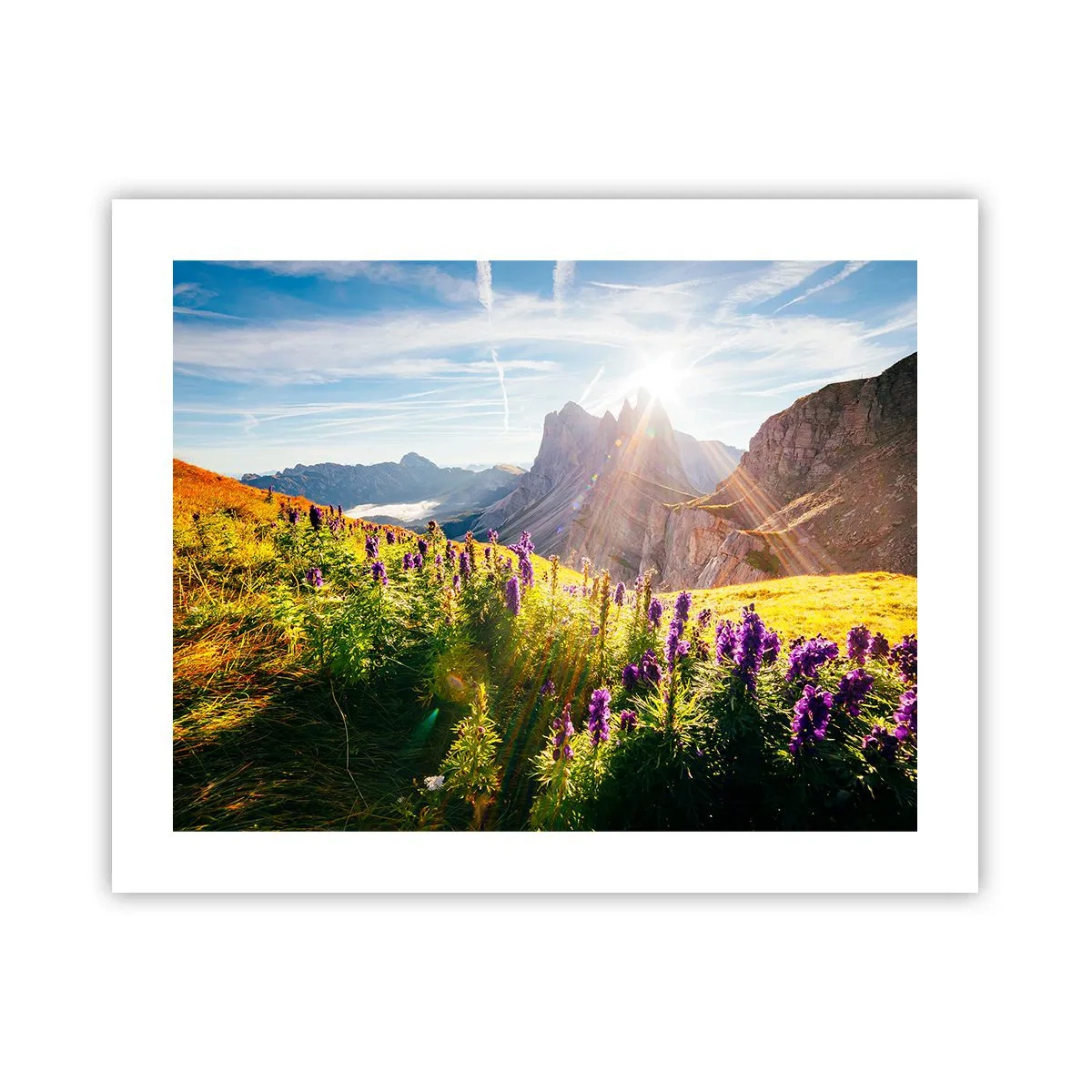 Poster - Viața secretă a ierburilor - 50x40 cm