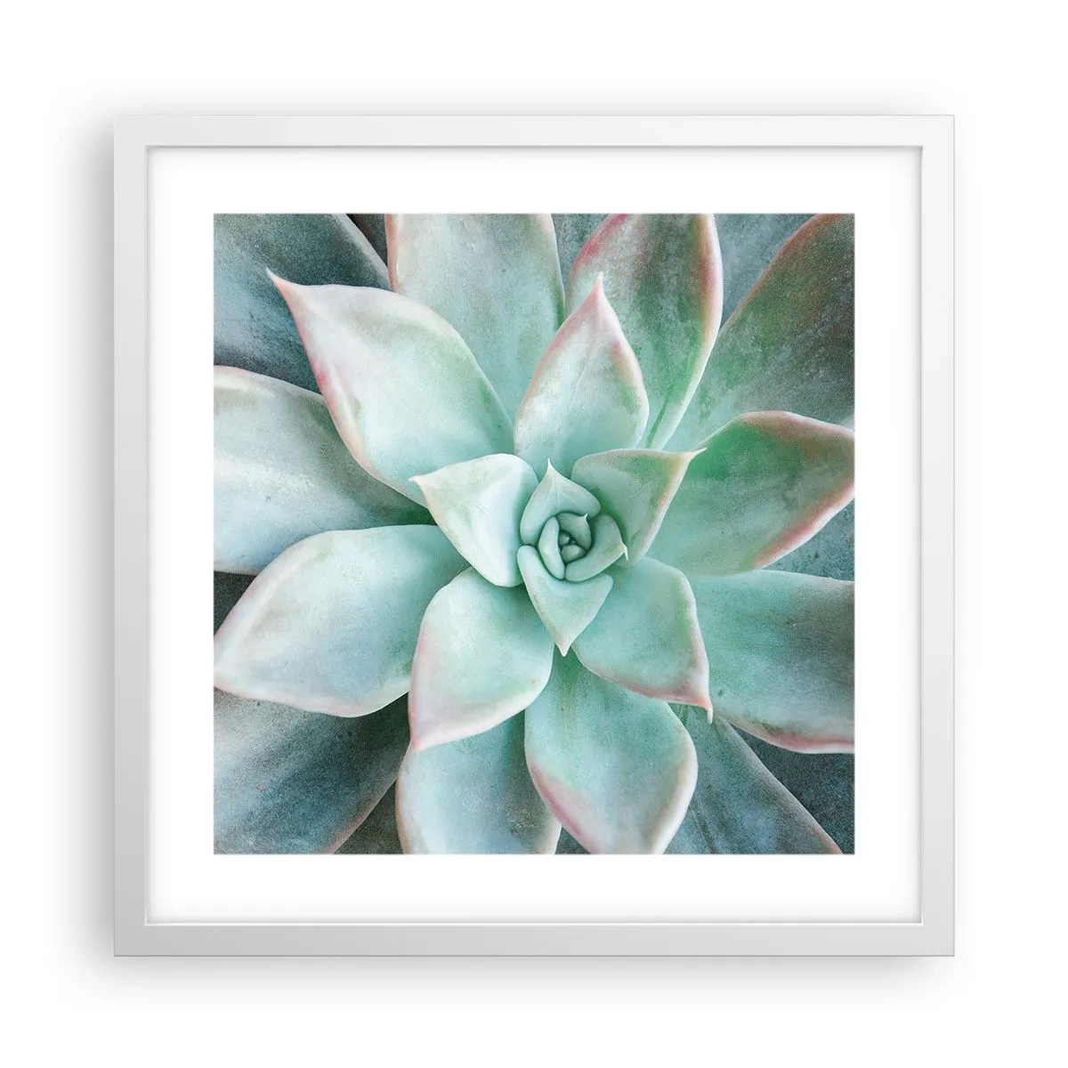 Poster în ramă albă - Inima deșertului - 40x40 cm