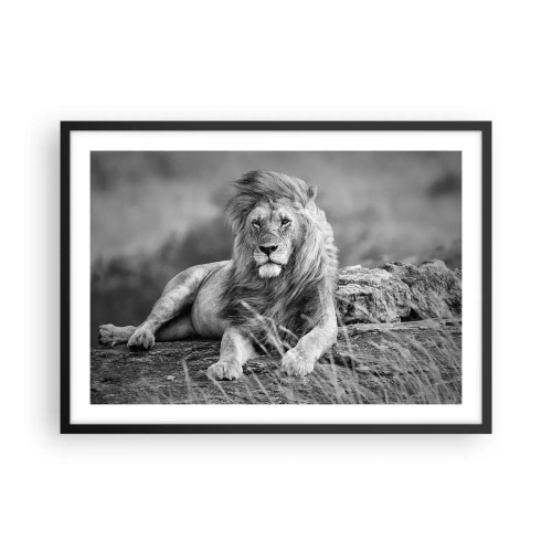 Poster în ramă neagră - Siesta regală - 70x50 cm