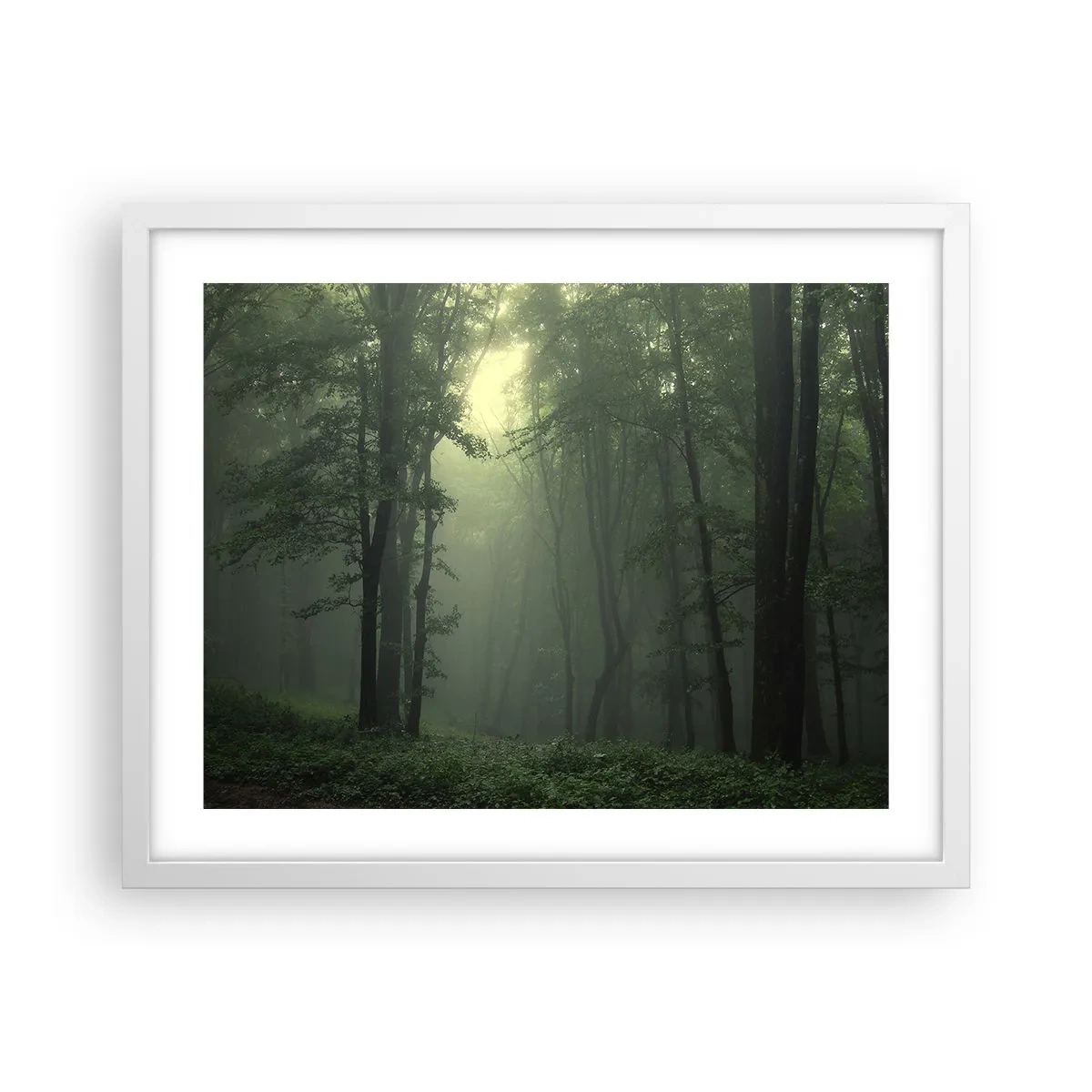 Poster în ramă albă - Înainte să se trezească - 50x40 cm